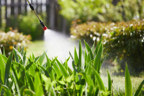 Tamper-Resistant Bait Stations for Rodents in Hyde Park