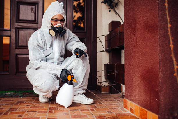 Attic and Crawl Space Rodent Treatment in Hyde Park
